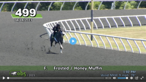 Toasted Roll shows her stuff on a Florida training track.