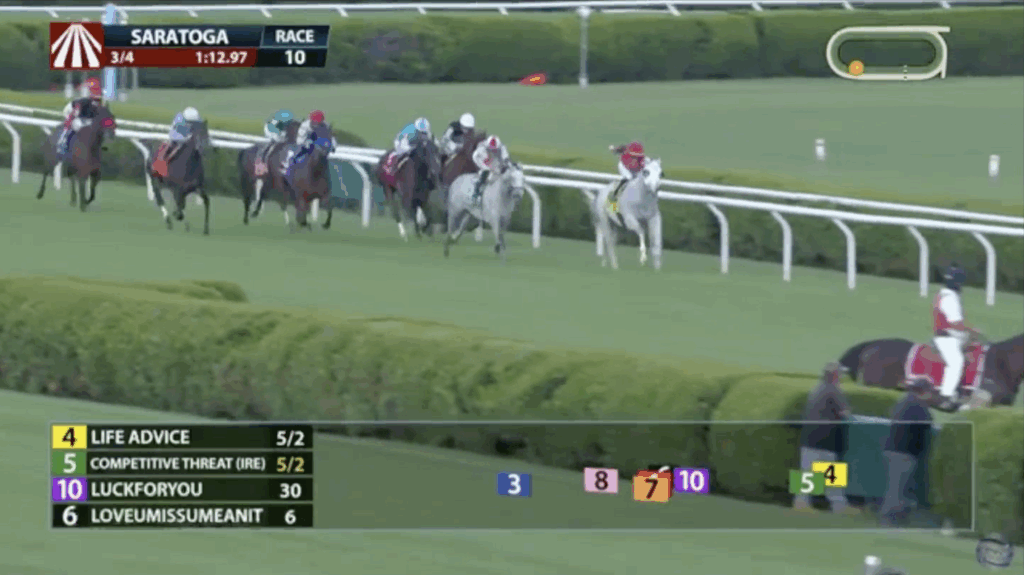 Life Advice at Saratoga on August 1, 2025