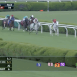 Life Advice at Saratoga on August 1, 2025