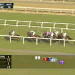 Toasted Roll hangs onto fourth until the final stretch.