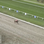 For Love and Honor wins at Fair Grounds on March 8, 2026